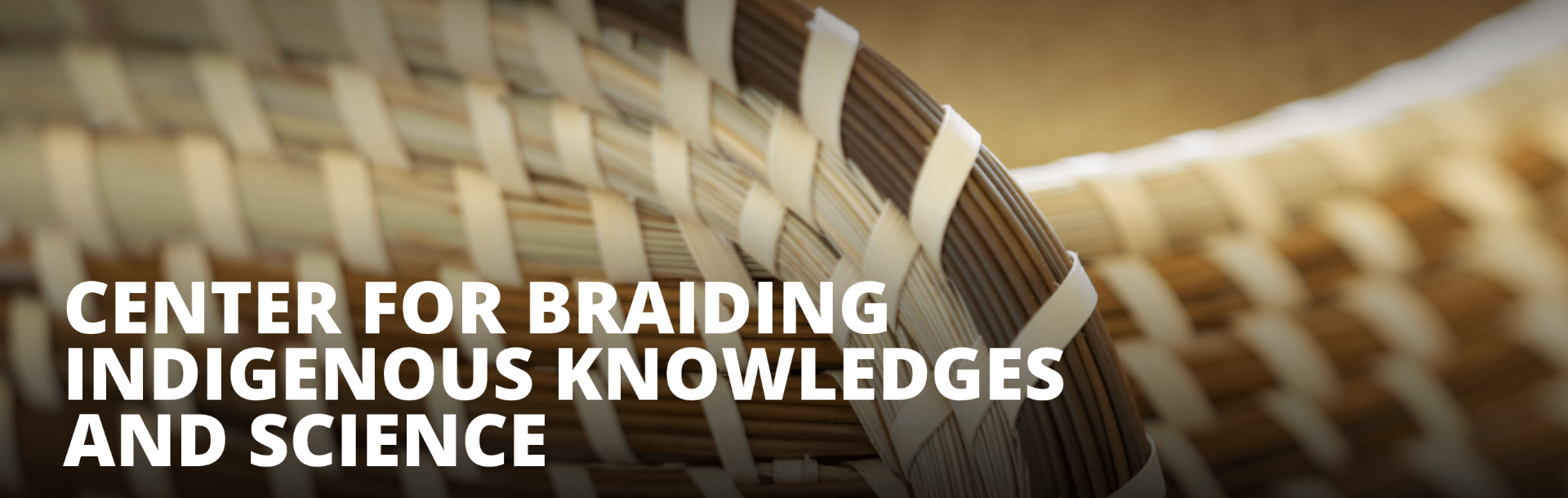 Anthropology faculty members partner on new National Science Foundation Center for Braiding Indigenous Knowledges and Science
